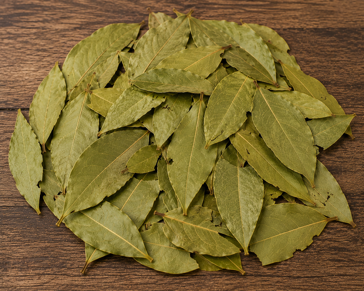 Semi Selected Laurel Leaves